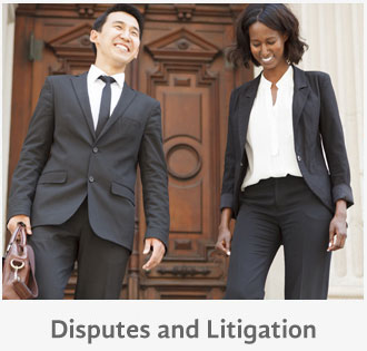 disputes and litigation